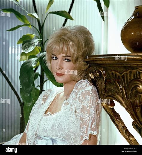 stella stevens hot|482 Actress Stella Stevens Stock Photos and High